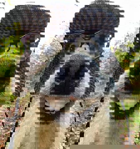 handsuccesor's Avatar